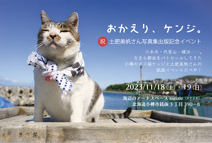伊予柑橘猫 maxresdefault.jpg