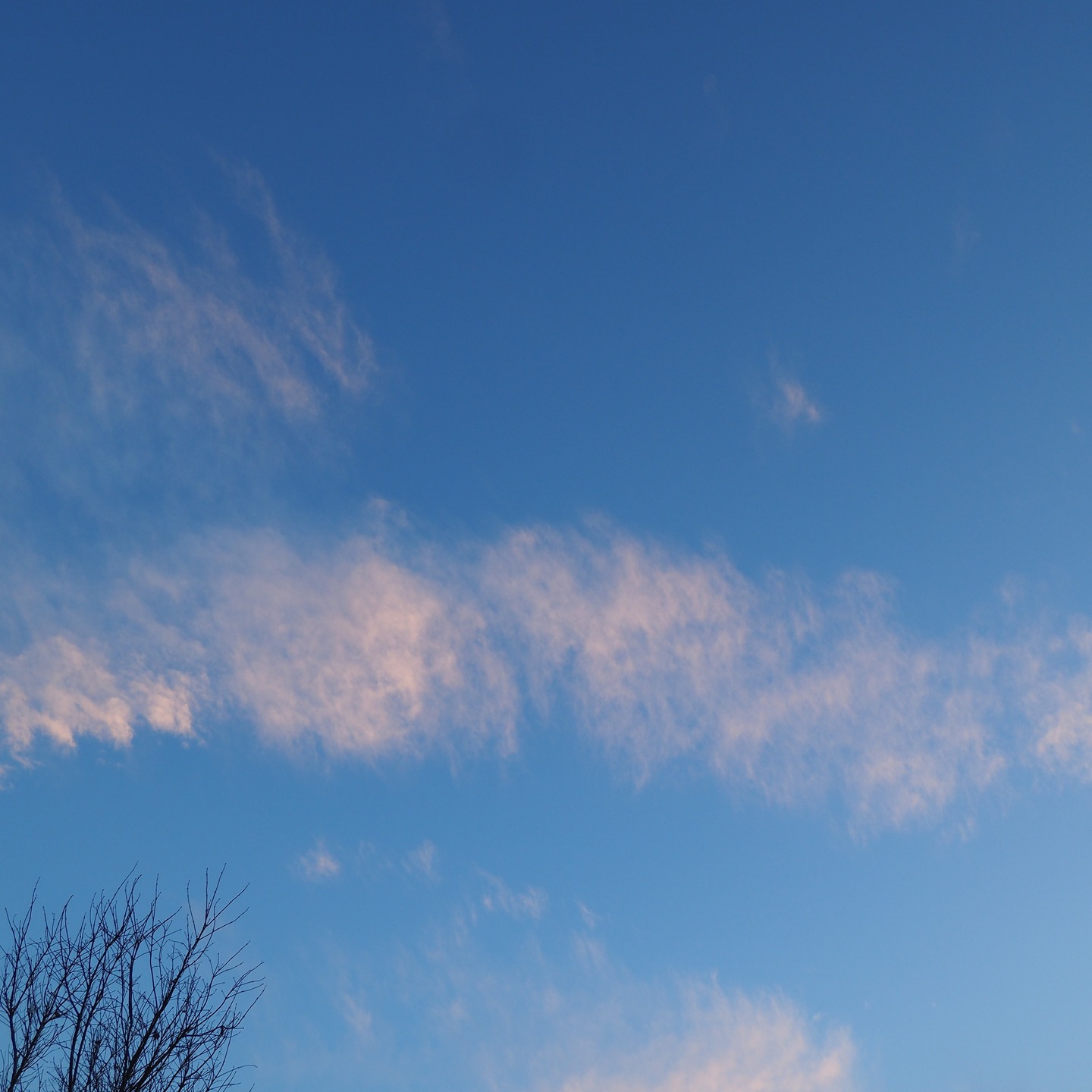 おはようございます。

寒い朝ですね。

空だけ見ると、どこの空かわかりませんが、小樽の空です。一昨日の。

冬は青空を見ると嬉しくなります。

#小樽の空
#小樽
#小樽人
#msugimoto