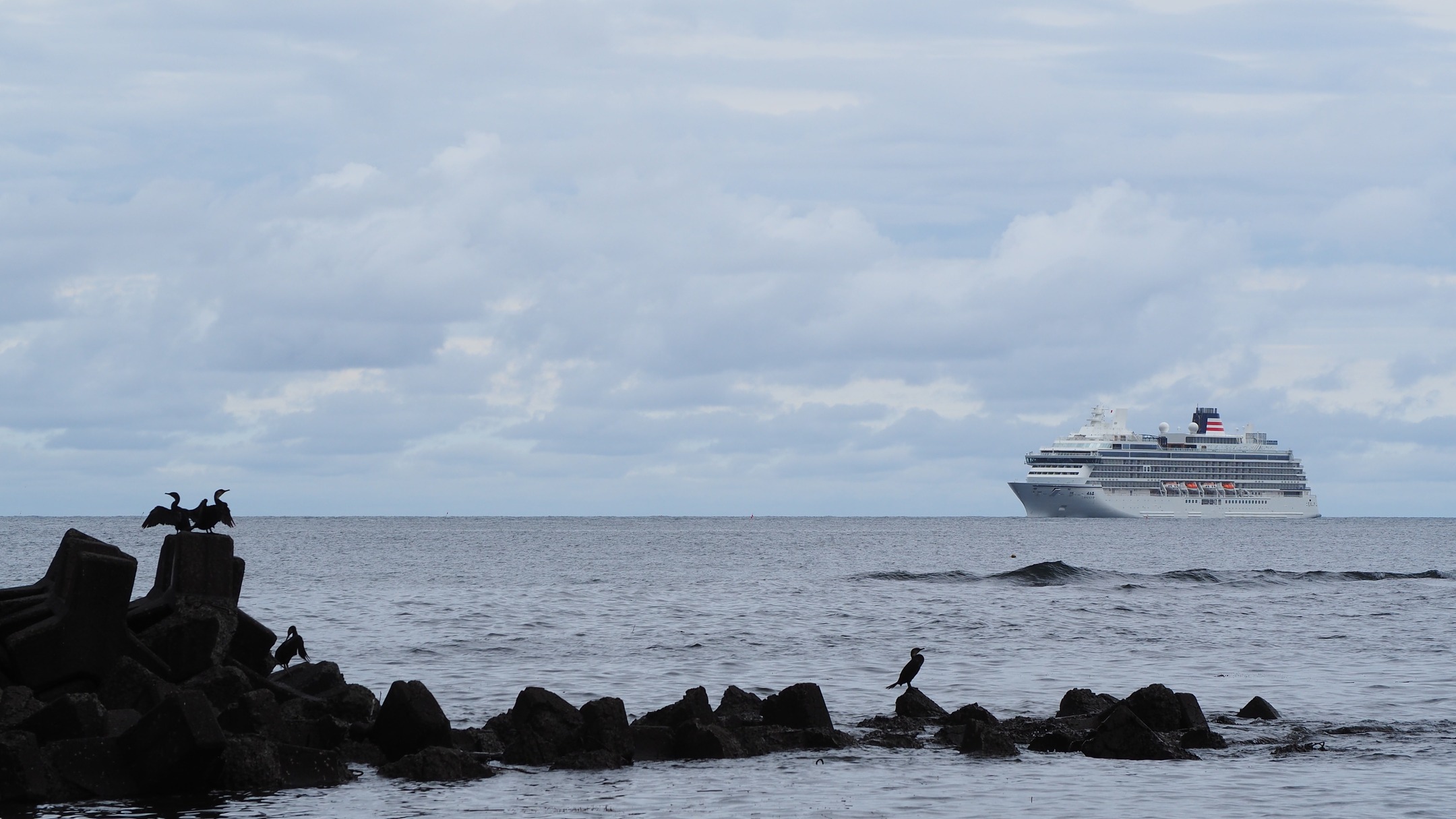 飛鳥Ⅲ。

海王丸を近くまで見に行ったら、遠くに飛鳥Ⅲの船体が見えて焦って撮影ポイントへ。

船が港に近づくにつれ天気が悪くなり、雨と雷が入港の歓迎をしていました。
この写真はまだ少し港から離れているときのものです。

ようこそ、小樽港へ！

#飛鳥Ⅲ
#小樽港
#船のある風景が好き
#小樽
#otaru
#msugimoto