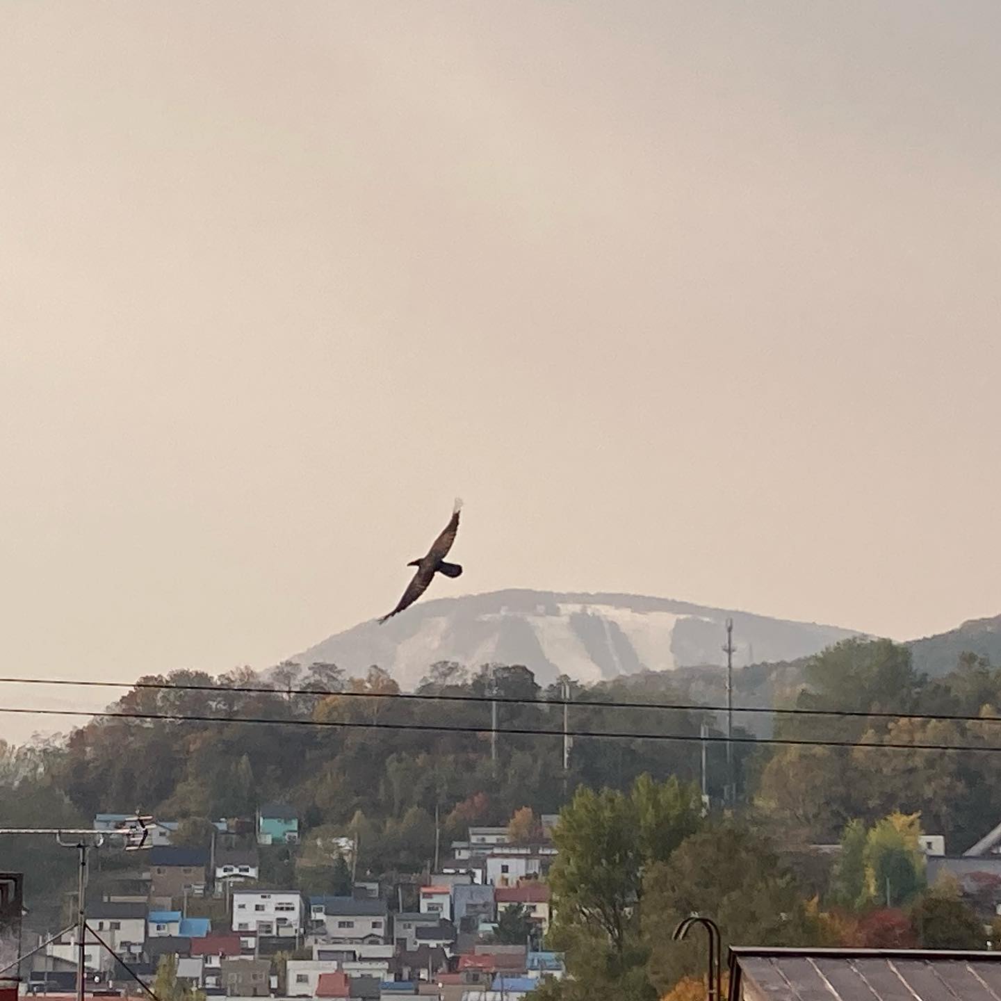 おはようございます😊

天狗山に雪が積もりましたね❄️🏔
冬は寒くて億劫な気持ちになりますが、
この景色はとても好きです。

小さな雲が動いていくような空模様になりそう。
降ったり晴れたりの天気でしょうか❄️☀️

そう書いている間に暗くなってきた😅

心も身体も暖かくして過ごしましょう🧣🧤

良い1日を❣️

#天狗山
#天狗山に雪
#小樽
#冬がやってきた
#いよいよ
#小樽人
#msugimoto