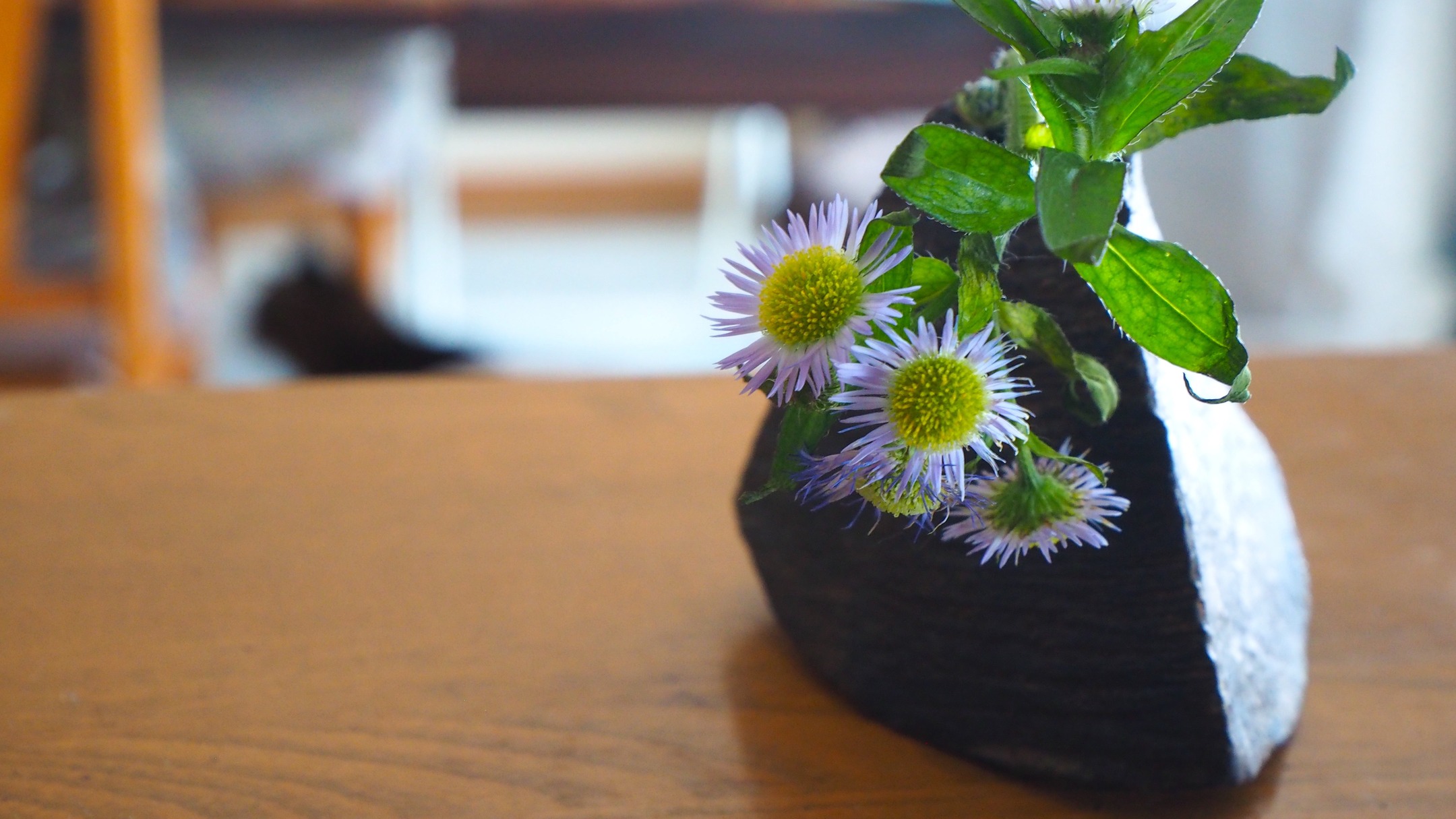 結構積もりましたね。
外は真っ白。

冬囲いの時に、地面にへばりつくように咲いていた野菊を救出して、今日もまだ咲いています。

茎がぐにゃっと曲がっているけど、かとうひろやすさんの花瓶にはこういう花が似合う。

さすがにもう根雪かにゃ〜。

#野菊
#かとうひろやす さん
#小樽
#小樽人
#冬ですね
#msugimoto