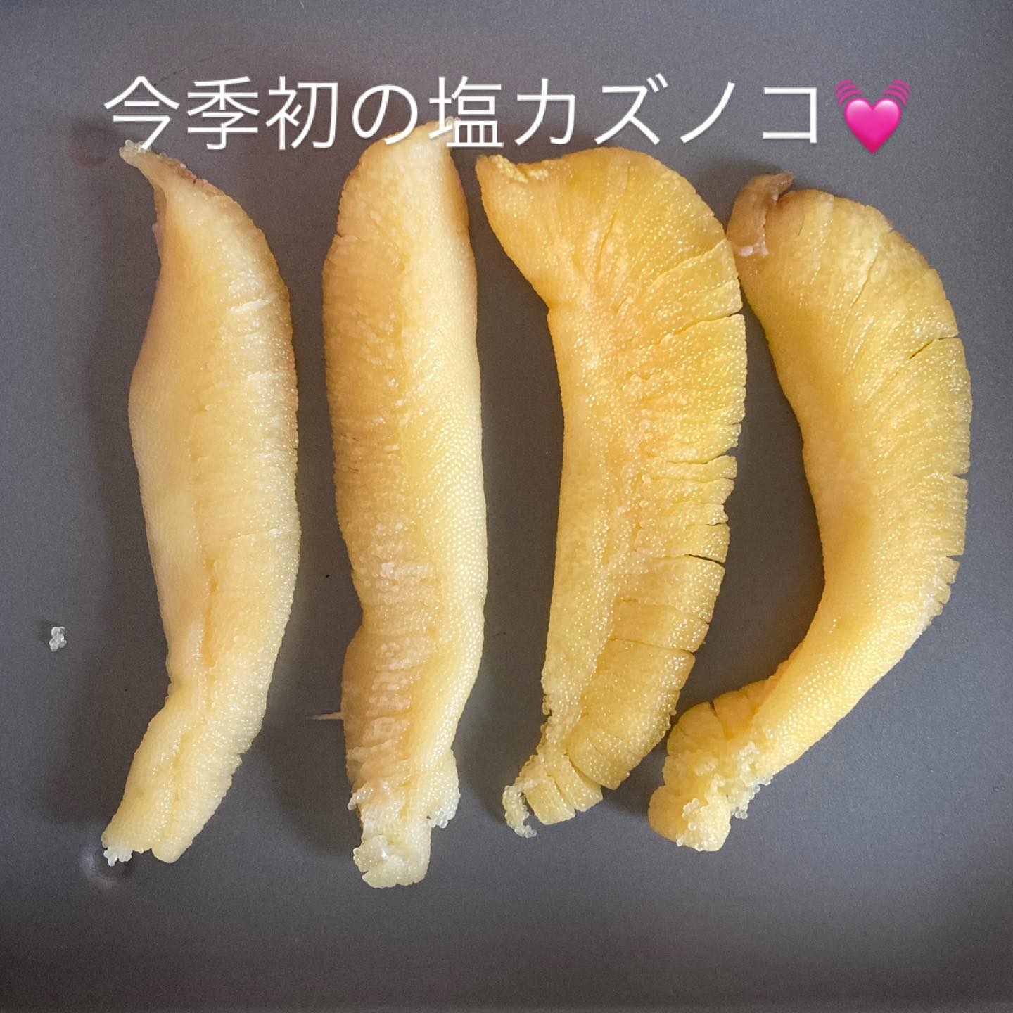 先日南樽市場で見つけたニシン。
迷わず数の子が入った2尾を選びました。
身は煮付けにしました。

体の割に立派な完熟数の子。
群来が近いかなあ〜なんて思っていました😽

友人はタカが来てるみたいだから、ニシンも来てるかな、なんて言っていましたが、その通りになりました。

塩数の子は冷凍して貯めちゃおう😆
ニシンがたくさん手に入ったら、身欠ニシンを作ろうっと💓

ニシンは色々な食べ方が楽しめるので、ワクワクします✨

#ニシン
#鰊
#南樽市場
#小樽人
#msugimoto