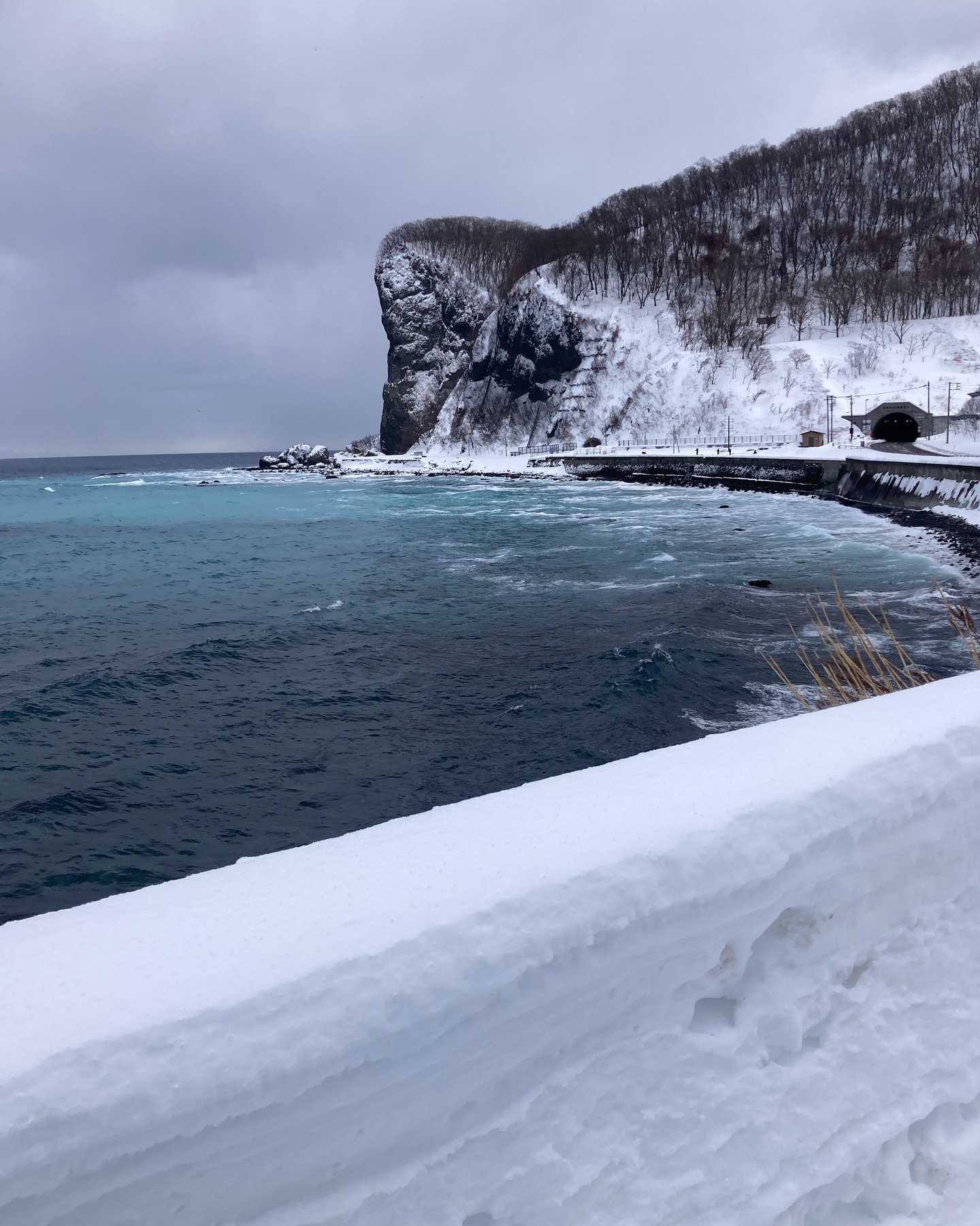 祝・群来！

令和8年1月30日。
余市の潮見町で群来ました。
こちらの写真は古平の船上群来ハンターOT氏が撮影したものです。

先日の古平町での群来写真に続き、ありがとうございます。

天候に不安がある昨今、今年も群来が見られてホッとしました。

#群来
#群来2026
#ニシンさんお帰りなさい
#余市
#後志
#小樽人
#msugimoto