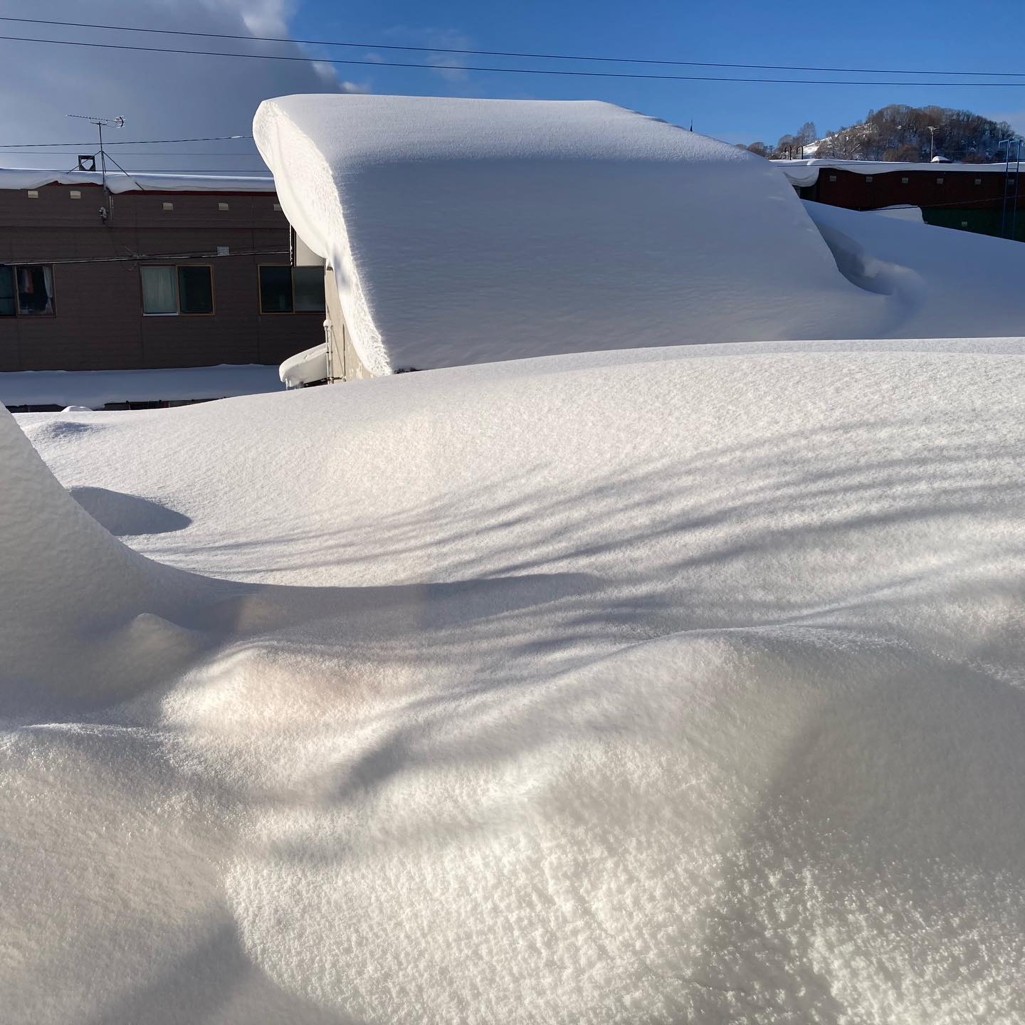 雪影

#雪影
#雪影小樽
#雪影2026
#小樽人
#msugimoto