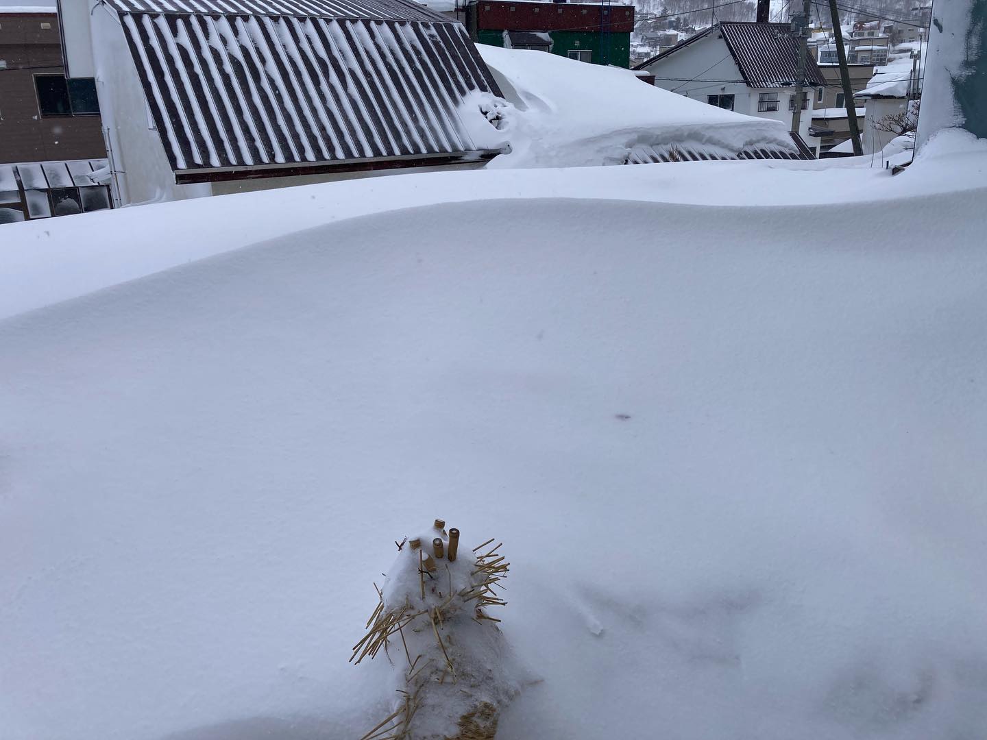 朝起きたら昨日とは別の景色😀

サーフィンの波的なリップ現る⁉️

まだまだ油断ならないわ〜😂
手強いぜぇ〜😆

#小樽
#小樽人
#msugimoto
#冬景色